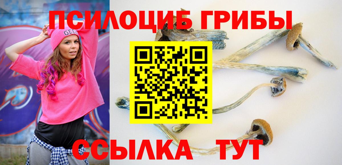 цена   Псилоцибиновые грибы Magic Shrooms  Вход с VPN  Пугачёв 